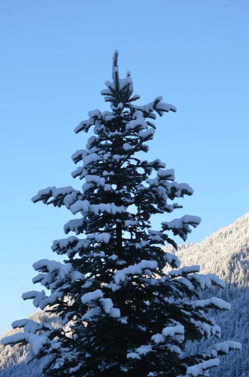 Haus Kargruber Lägenhet Santa Maddalena in Casies Exteriör bild